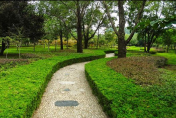 公園綠化施工